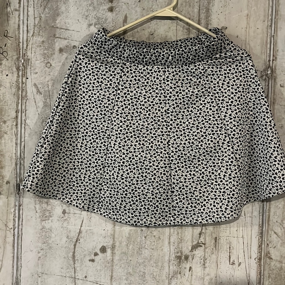 zara skirt nwot